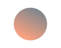 Cébé Verres HILLDROP Sensor Rose Cat.3 Silver