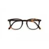Izipizi Lunette De Lecture Forme E Reading Tortoise