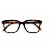 Izipizi Lunette De Lecture Forme L Reading Tortoise